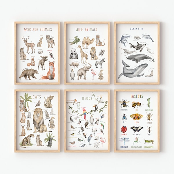 Set of 6 Educational Posters | Wilds Animals Poster | Woodland Animals Poster | Kids Wall Art | Digital Download