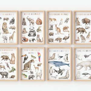 Conjunto de 8 carteles educativos / carteles de animales salvajes / decoración del aula / carteles Montessori / arte de pared para niños / sala de juegos / descarga digital