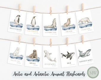 Flashcards de animales imprimibles / Flashcards para niños pequeños / Preescolar imprimible / Homeschool imprimible