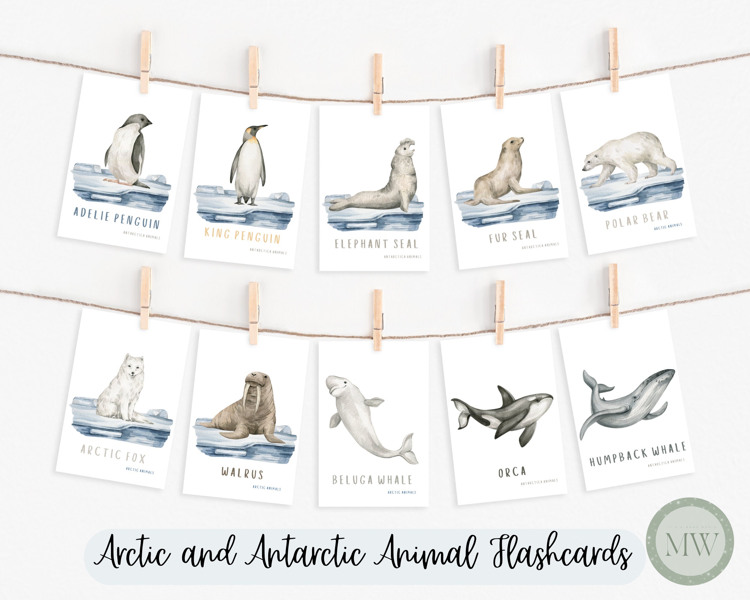 Printable Animal Flashcards | Toddler Flashcards | Preschool Printable | Homeschool Printable