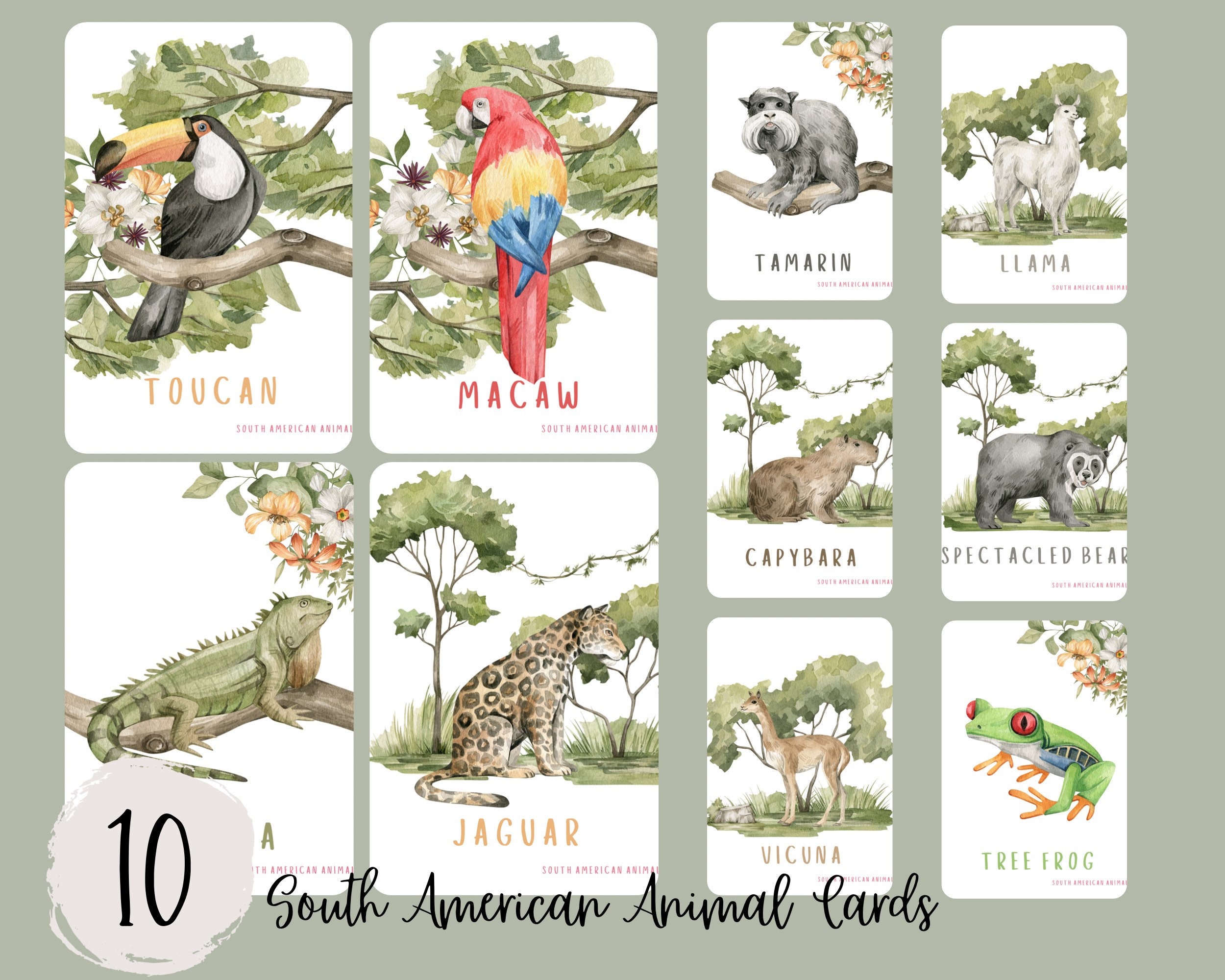 Printable Animal Flashcards Wild Animals Flashcards Kids Flashcards ...