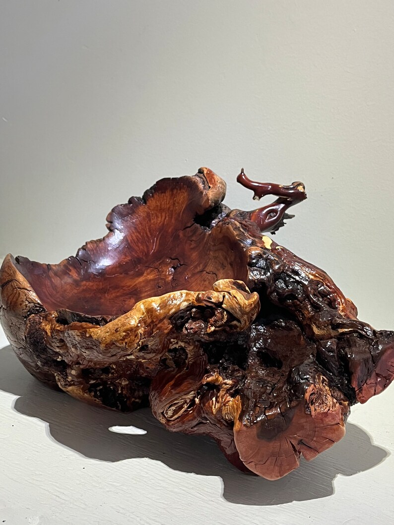 Manzanita Live Edge Root Burl Dough Bowl Handmade Centerpiece Etsy