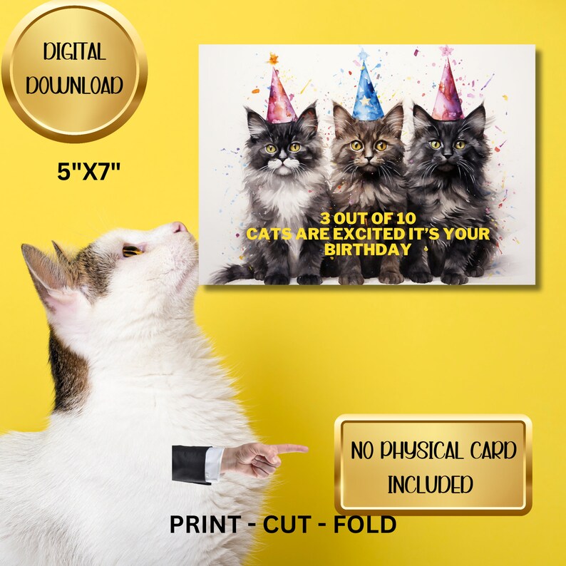 Funny Print at Home Birthday Card Digital Download Printable DIY Cat ...