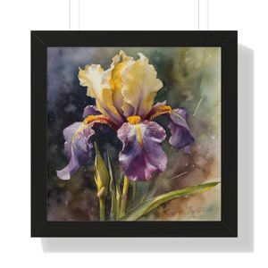 May include: A watercolor painting of a purple and yellow iris flower with green leaves against a dark background. The painting is signed "By Niwet" in the bottom right corner.
