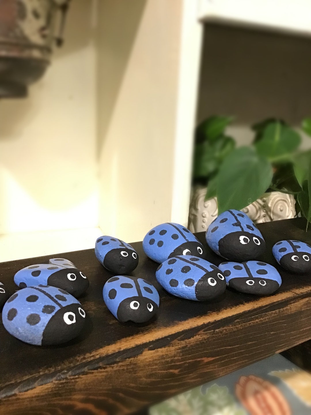 Ladybug PNW Rocks | Set of 10 | Genuine Beach Rocks | Hand Painted Blue ...