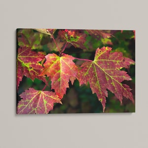 Red Maple Leaf Wall Decor, New Hampshire Fall Foliage Wall Art, Bathroom Wall Hanging, New England Photography, Canvas Print, Metal Prints