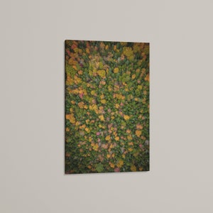 New Hampshire Foliage Wall Art: New England Wall Decor, Forest Art, Photography Print for Bathroom, Canvas Print, Metal Prints, Photo Print