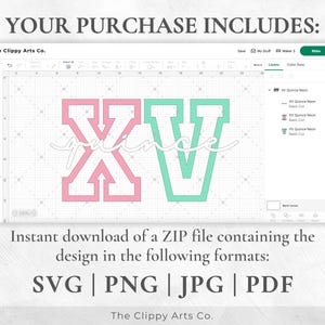 XV Cumpleaños SVG, 15.º Cumpleaños Svg, XV Png, Mis XV Años Svg, Quinceañera Svg, Mis Quince Svg, Quince Svg, XV Squad Png, Cricut Cut File imagen 6