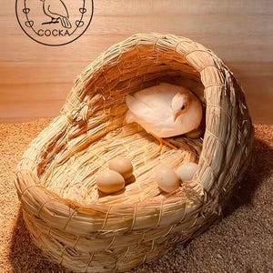 Handmade straw woven birdhouse bird nest quail house COCKA