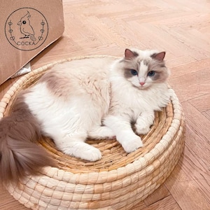 May include: A white and brown cat with blue eyes is lying in a round woven basket bed. The basket is made of natural materials and has a light brown color.