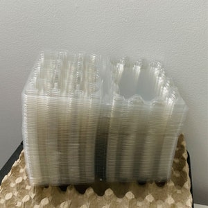 Quail Egg Cartons 12 eggs Plastic Free Shipping COCKA
