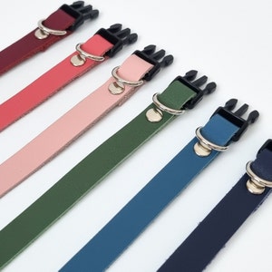 Może przedstawiać: Sześć skórzanych obroży dla psa w różnych kolorach, każda z czarną plastikową klamrą. Obroże są bordowe, różowe, jasnoróżowe, zielone, niebieskie i granatowe.