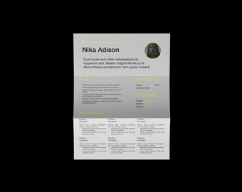 Modern Resume Template: Minimalist, Clean CV Design (A4, InDesign)