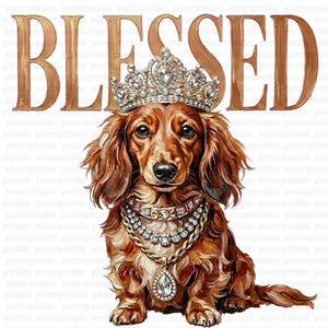 May include: A digital illustration of a dachshund wearing a diamond-studded crown and necklace. The dog is brown with long fur and is set against a white background with the word "BLESSED" in gold lettering.
