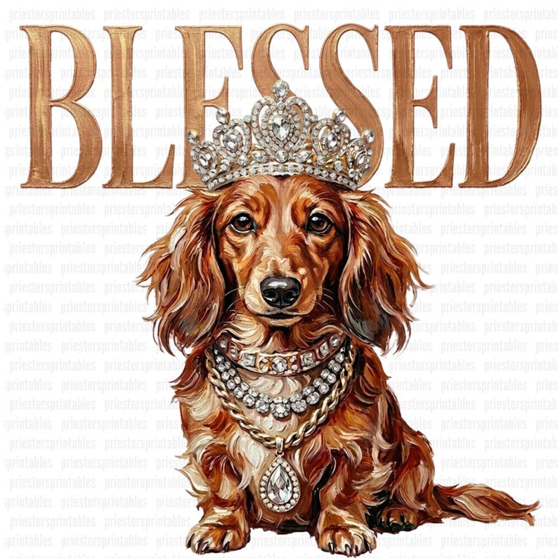May include: A digital illustration of a dachshund wearing a diamond-studded crown and necklace. The dog is brown with long fur and is set against a white background with the word "BLESSED" in gold lettering.