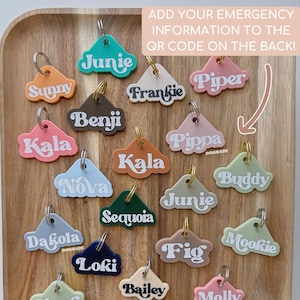 Custom QR Code Pet ID Tag: Personalized Emergency Info, Acrylic, Quiet