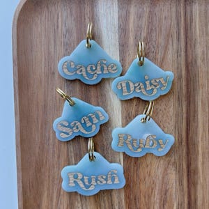Custom Retro Pet ID Tag: Engraved Acrylic Dog & Cat Collar Charm