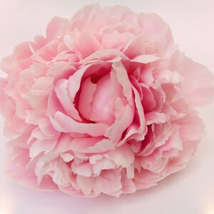 Art work, Home decoration, Flowers,