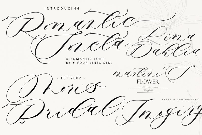 20 Romantic Calligraphy Font Bundle, Wedding & Handwritten Script Fonts ...