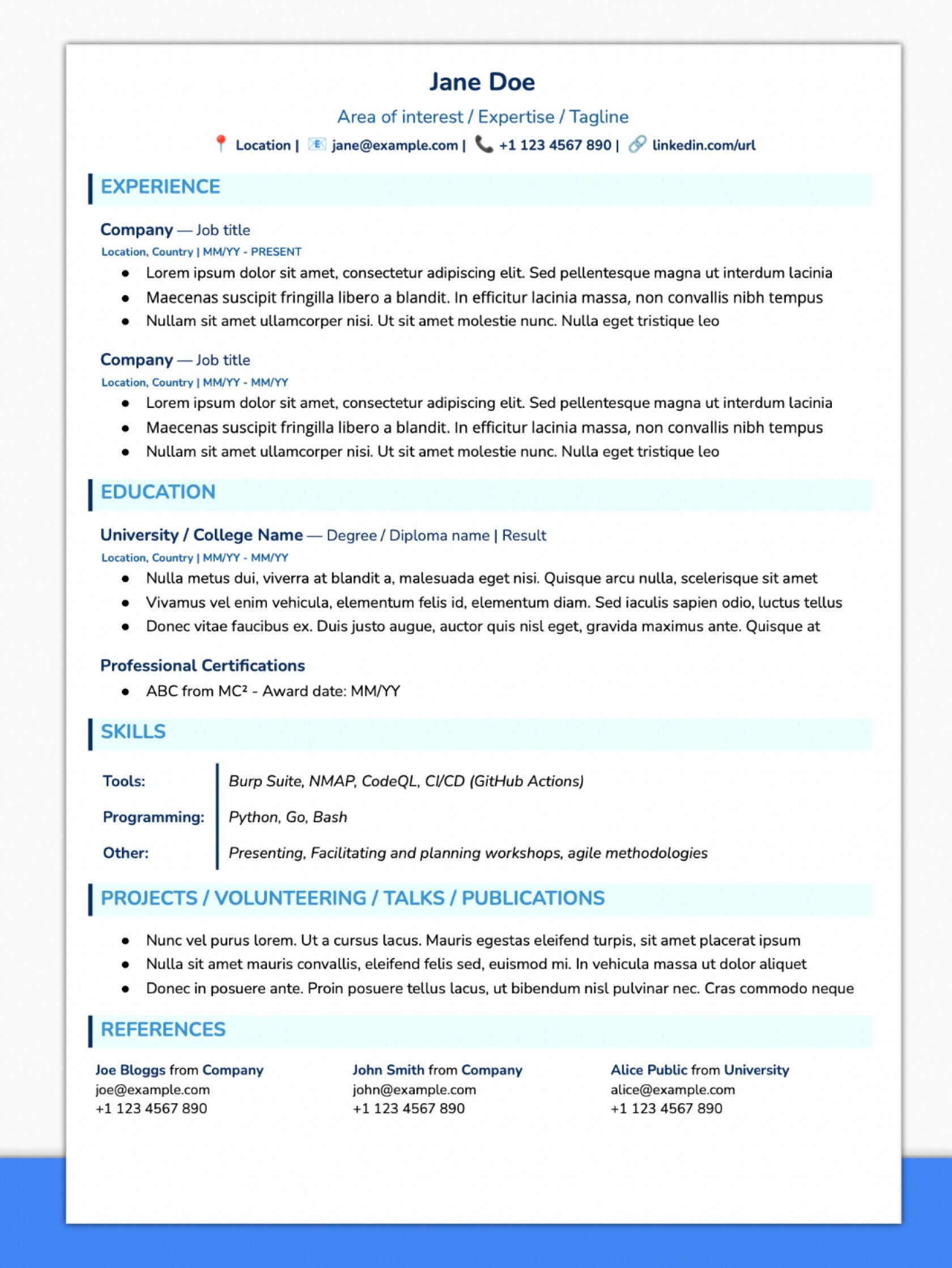 CV / Resume Template With Cybersecurity Infosec and Appsec - Etsy