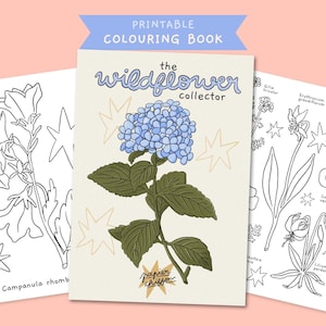 COLORING BOOK : The Wildflower collector, printable hand drawn flower botanical sheets to color
