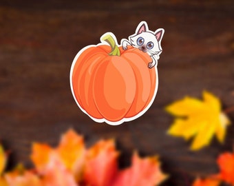 Cute Kitty Cat Munching on Pumpkin Matte Stickers - Adorable Kitten Sticker - Laptop Hydroflask Water Bottle