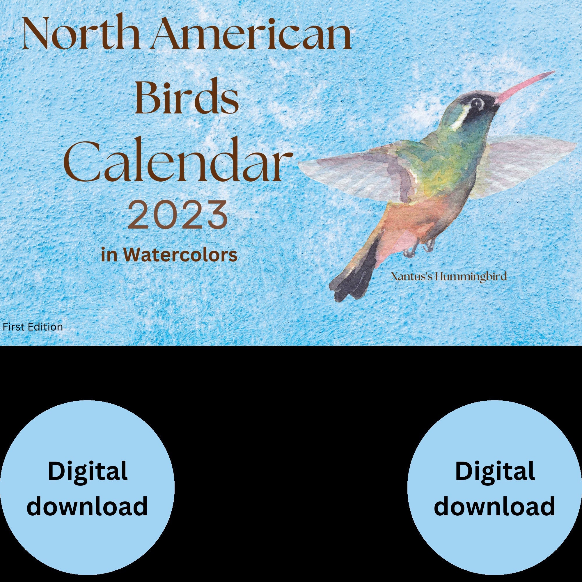 2023 Calendar Of Extremely Accurate Birds — Tommy Siegel | islamiyyat.com