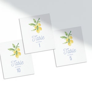 Italian Lemon Table Numbers Blue, Yellow & Green Hand-Illustrated Digital Template Mediterranean Citrus image 2