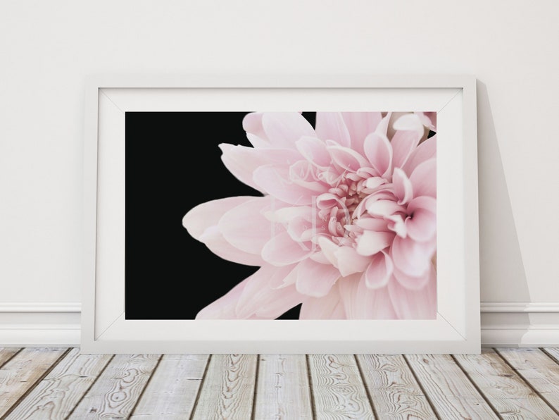 Printable Flower Wall Art Dahlia Living Room Wall Art Etsy