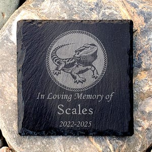 May include: Black slate memorial stone with a laser engraved image of a bearded dragon lizard inside a rope circle. The text "In Loving Memory of Scales 2022-2025" is engraved below the image.