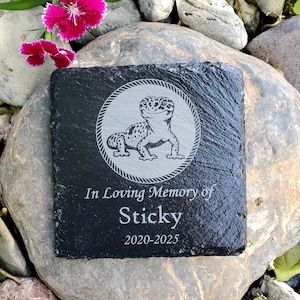 May include: A black square slate memorial stone with a gecko illustration inside a circular border. The text "In Loving Memory of Sticky 2020-2025" is engraved below the gecko. Pink flowers and rocks are in the background.