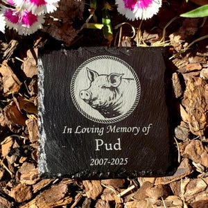 Small Personalized Pig Memorial Stone – Engraved Slate Grave Marker Gift for Pet Pig Lover