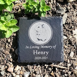 May include: A square, black slate memorial stone with a hamster illustration inside a rope-like circle. The text "In Loving Memory of Henry 2020-2025" is engraved below the image. The stone is set in a garden.