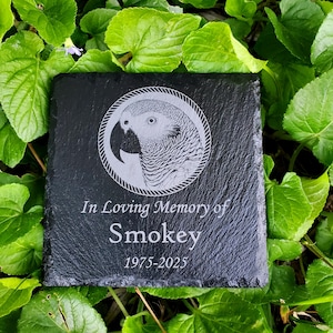 May include: Black slate memorial stone with a white engraved image of a grey parrot in a circle. The text "In Loving Memory of Smokey 1975-2025" is engraved below the image.