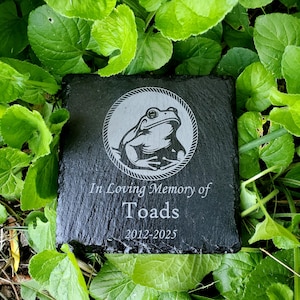 May include: Black slate memorial stone with a frog silhouette and the text "In Loving Memory of Toads 2012-2025".