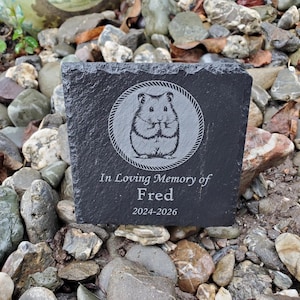 May include: A black slate memorial stone with a hamster illustration inside a circular rope design. The text "In Loving Memory of Fred 2024-2026" is engraved below the hamster image. The stone is set among rocks.