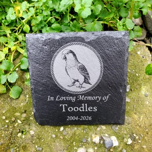 May include: A square, black slate memorial stone with a detailed engraved image of a bird inside a circular border. The text "In Loving Memory of Toodles 2004-2026" is etched below the bird illustration.