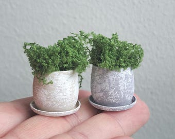 Miniature Dollhouse Ivy Plant: 1/12 Scale Farmhouse Decor