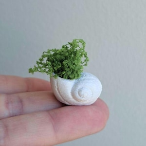 Peut inclure: Un petit pot en forme de coquillage blanc avec un motif en spirale, rempli de mousse verte vive. L'objet miniature et fait à la main est tenu dans une main, soulignant sa taille et ses détails délicats. Une pièce décorative unique.