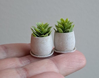 Miniature Dollhouse Succulent Greenery Plant Pot Home Decoration Farmhouse Style Dollhouse Decor Dolls House Miniature Scene 1:12 Scale