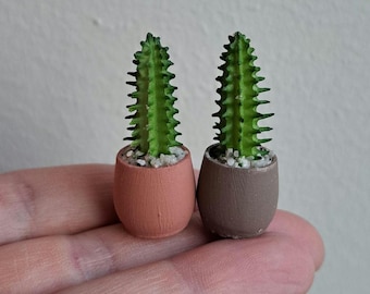 May include: Two miniature cactus plants in small terracotta and brown pots. The cacti are bright green with spiky edges, and the pots are filled with small white pebbles. The plants are held in a person's hand.
