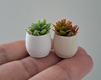 1:12 Miniature Dollhouse Succulent Greenery Plant Pot Home Decoration Farmhouse Dollhouse Decor Doll House Miniature Scene 1/12th Scale