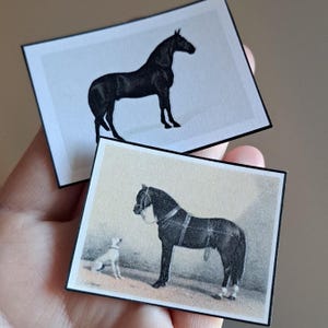 1:12 Miniatur Puppenhaus Pferd Poster Hausdekoration Druck Puppenhaus Miniaturszene 1:12
