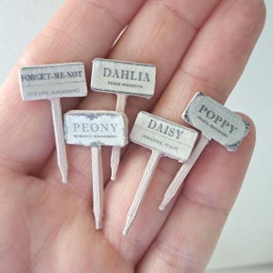 Può includere: Cinque segnaposto da giardino in miniatura realizzati in legno chiaro con cime rettangolari. Ogni segnaposto presenta un testo stampato che identifica un fiore: Forget-Me-Not, Dahlia, Peony, Daisy e Poppy, con parole descrittive sotto ogni nome.