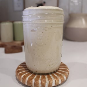 Organic Active Sourdough Starter