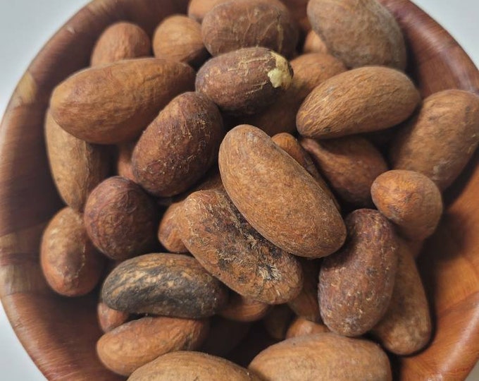 Fresh Organic Authentic Bitter Kola From Nigeria GARCINIA KOLA Orogbo