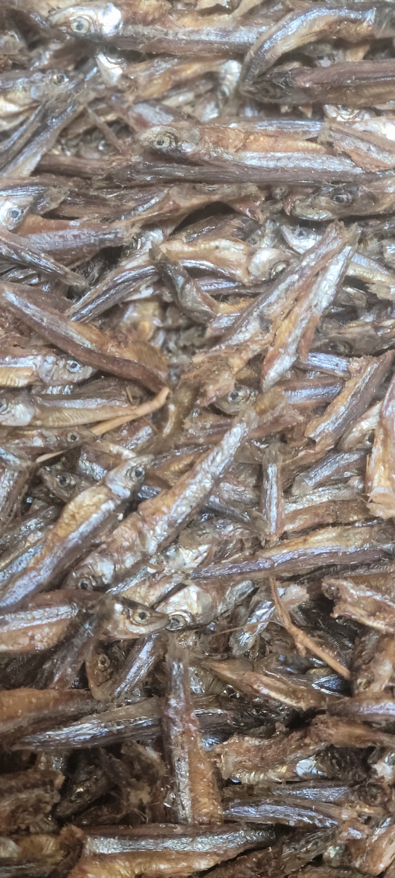 Dried African Anchovies Fish Anchovy, dagaa, mukene omena from congo, ndakala free shipping image 3