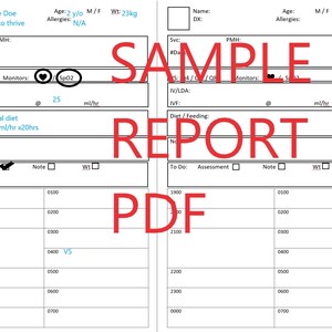 Nurse Report Sheet 2-4 patients