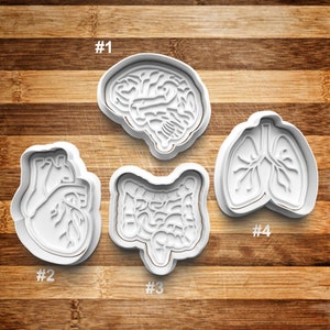 Organ Cookie Cutter | Cookie Stamp | Cookie Embosser | Cookie Fondant | Clay Stamp | Brain | Heart | Lungs | Intestines | Body Parts