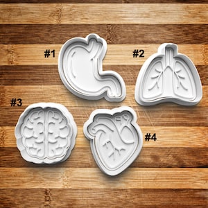 Organ Cookie Cutter | Cookie Stamp | Cookie Embosser | Cookie Fondant | Clay Stamp | Guts | Brain | Lung | Heart| Stomach | Human Body